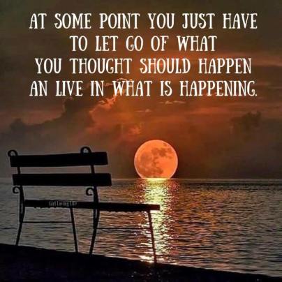 14046038_1250184384993150_8386965652731053545_n