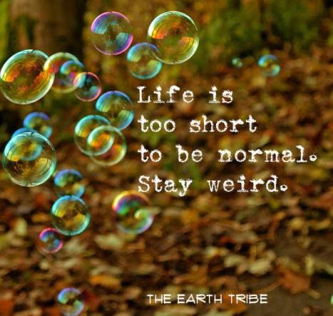 17361578_1488183371192191_7530675081895776496_n