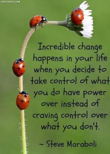 9559a82db44479a82592050ed7397eef