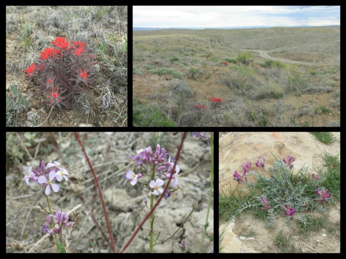 pizap.com14921008840801