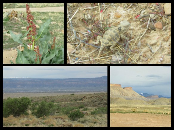 pizap.com14921009793492a