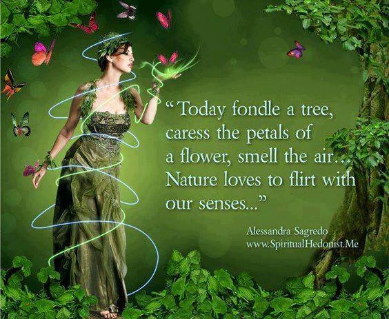 17457875_676137419241342_7395044667756208981_n