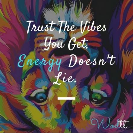 18194832_1693794637581577_7669385120687709290_n