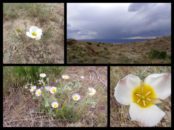 pizap.com14942743194521