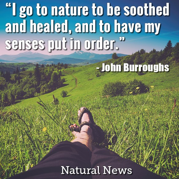 Quote-I-Go-To-Nature-To-Be-Soothed-And-Healed