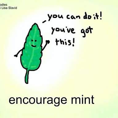 17265026_1730051450566809_6810998983211679383_n