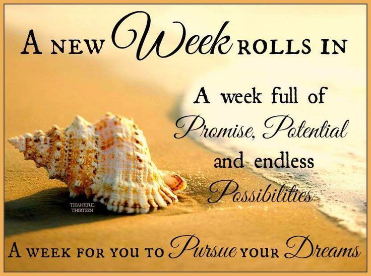 276374-A-New-Week-Rolls-In