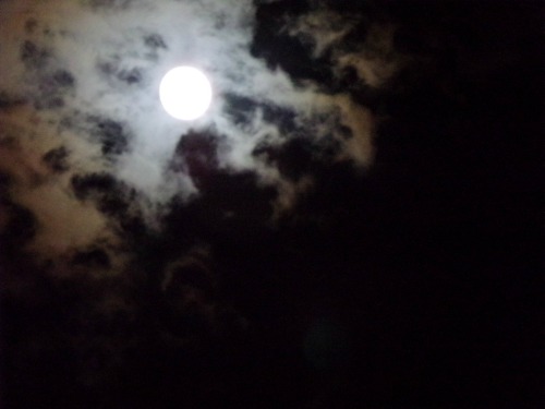 KODAK Digital Still Camera