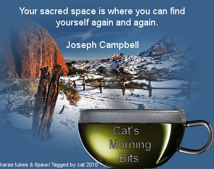 CMB Winter and Coffee