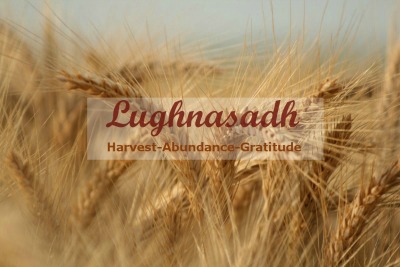 azz triticale-heads-1319858