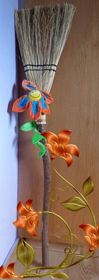 KODAK Digital Still Camera