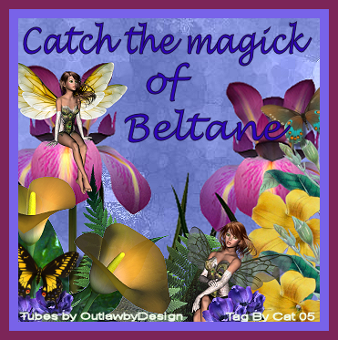 Beltane_zps5ff38123[1]