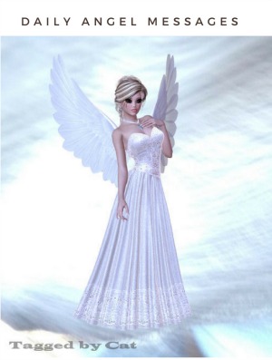 daily Angel Message sms